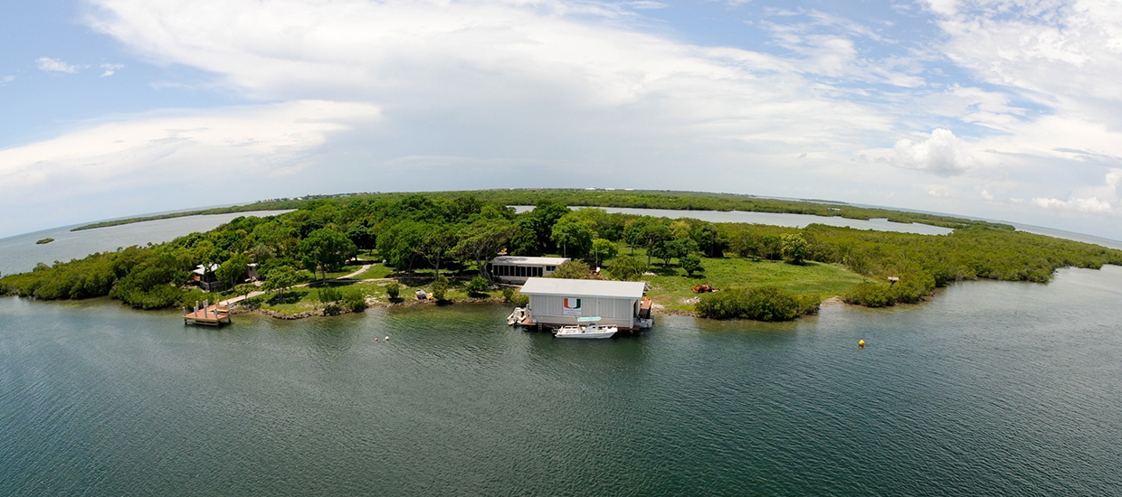 Broad key