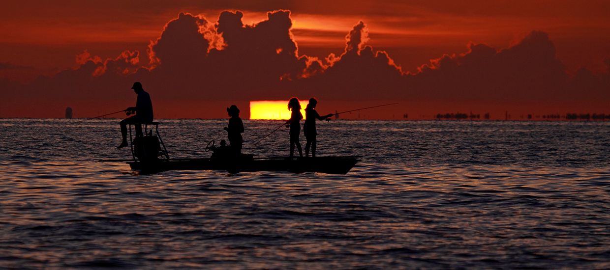 Marine Ecosystem and Society
