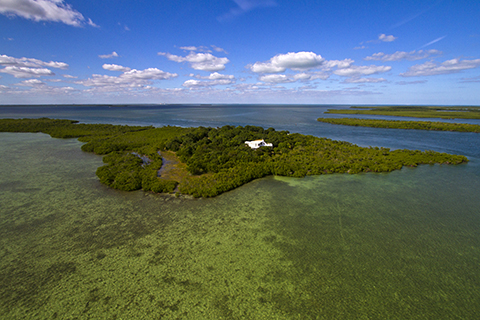 Broad Key